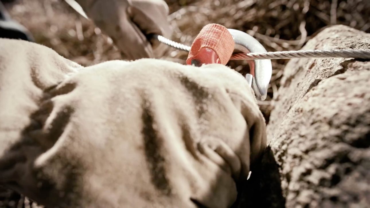 Screen Shot 2017-07-28 at 11.42.16 AM